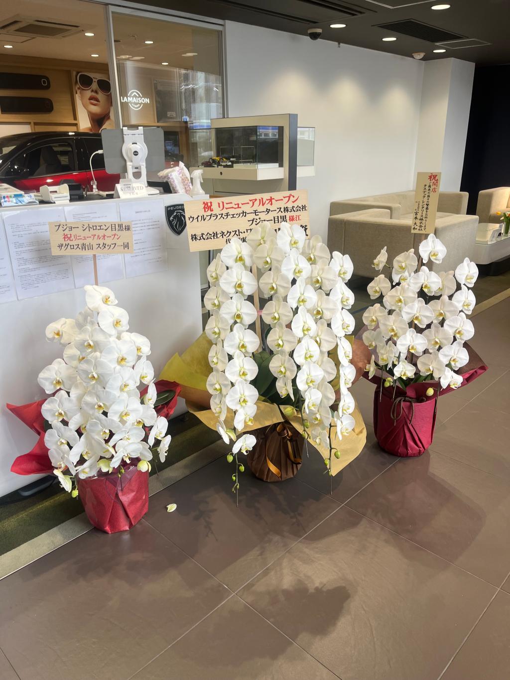  リニューアルイベント開催中